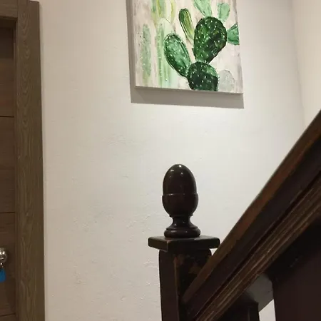 San Pelayo 10 *